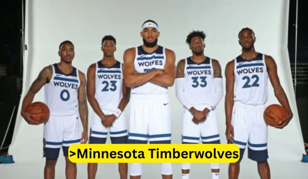 >Minnesota Timberwolves